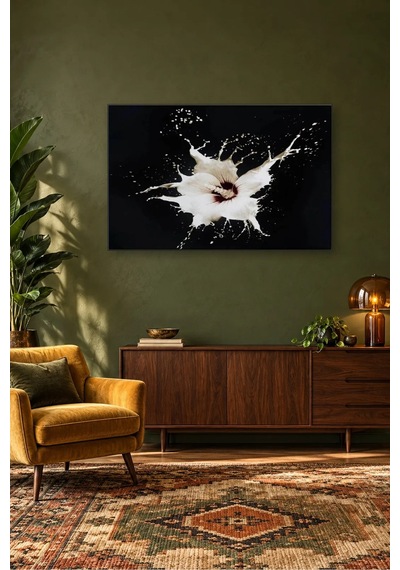 Fida Siyah Fonda Beyaz Sıçrama Canvas Tablo