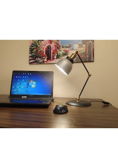 Mylights Banker Masa Lambası Okuma Lambası Gri Başlık Hareketli