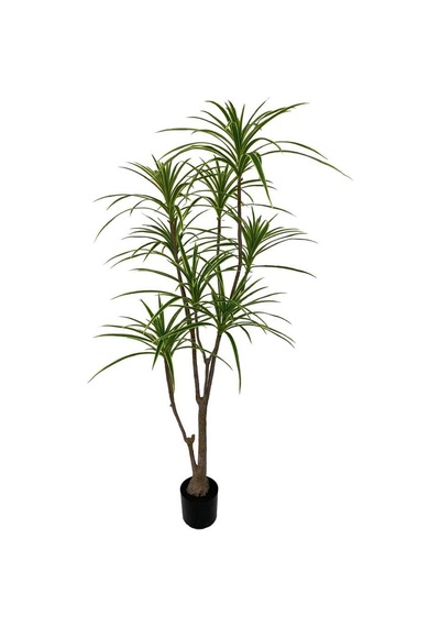 Yapay Ağaç Dracaena Ağacı 8Gövdeli 180cm Premium Kalite