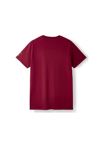 Gsstore Galatasaray Erkek T-shirt E261086 Bordo