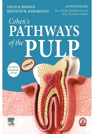 Cohen's Pathways Of The Pulp Türkçe 12. Baskı