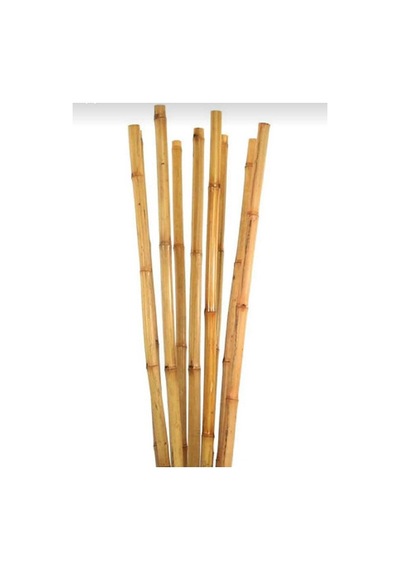 Bitki Destek Çubuğu 10 Adet 150 Cm