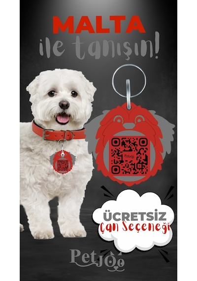 Petjoo 12.Malta Gri-Kırmızı Qr'lı Köpek Künyesi