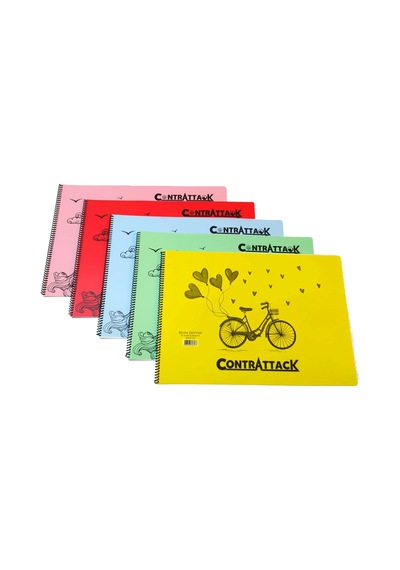 3 Adet Plastik Kapak Spiralli Resim Defteri 35 X 50 Cm 25 Yaprak