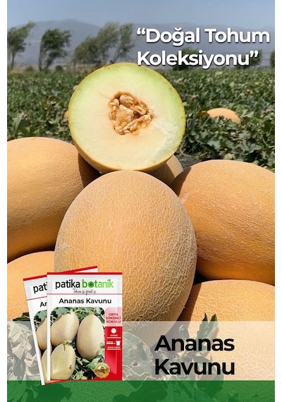 Patika Botanik 100 Adet Ananas Kavun Tohumu