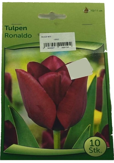 Tulpen - Lale Soğanı