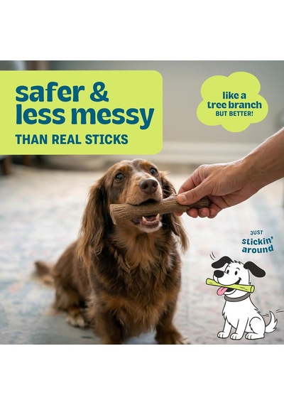 Petstages Kızılcık Ahşap Alternatif Köpek Çiğneme Oyuncağı, Küçük