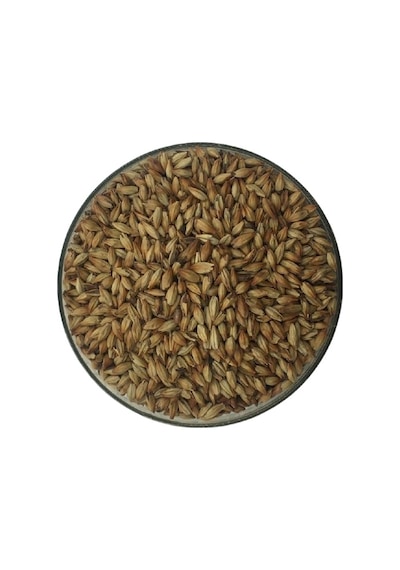 Hitit Malt Bisküvi Arpa Maltı 1 KG