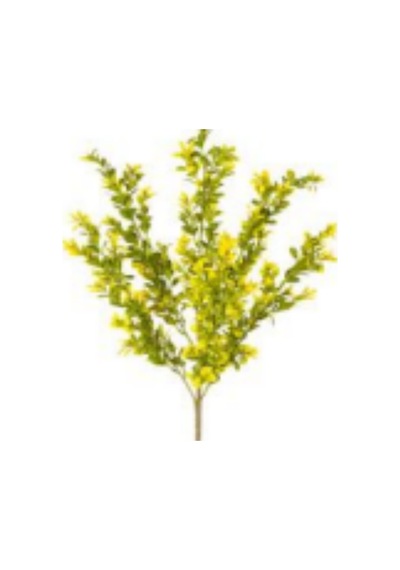 Yapay Bitki Şimşir Sarı/yeşil 55 Cm. Çok Renkli