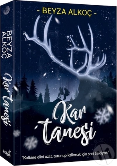 Kar Tanesi/Beyza Alkoç