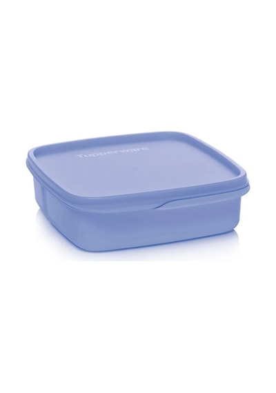 Tupperware Okula Gidenler İçin Tupperware Lunch Box 178463761 MAvi