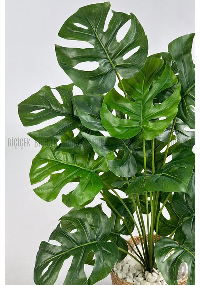 Yapay Monstera Deve Tabani 65 Cm Kulplu Hasir Saksıda Krem