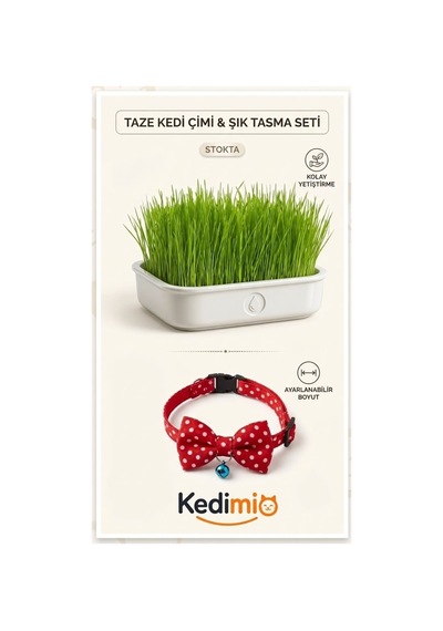 Doğal Kedi Çimi Ve Papyon Kedi Tasması Seti