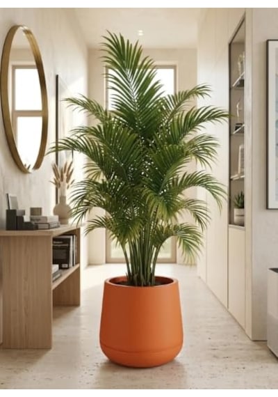 Dekoratif Modern Tabak Saksı, 34x28 Cm, Turuncu, Plastik