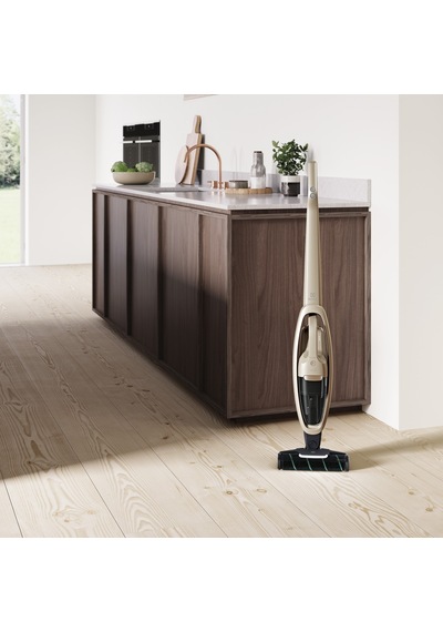 Electrolux Well Q7 WQ71-P52SS Dikey Şarjlı Süpürge