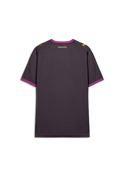Puma Galatasaray 26/27 Erkek Deplasman Gri Forma