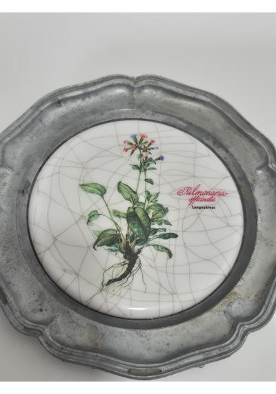 Vintage Zınn Çerçeveli Dekoratif Pulmonaria Officinalis Bitkisi Temalı Duvar Tabağı 10cm 007