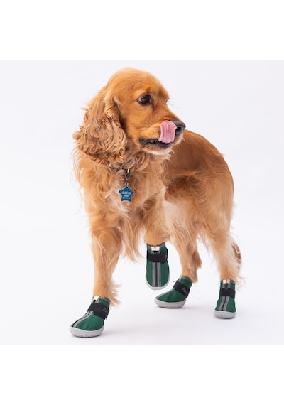 Pawstar Yeşil Köpek Ayakkabısı