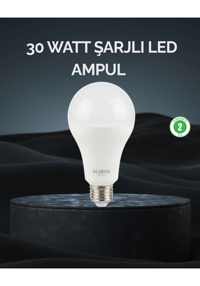 Şarjlı Led Ampul 30 Watt Soğuk Beyaz Diğer