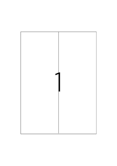 Tanex Laser Etiket Kod 2297 X 105mm X 297mm Diğer