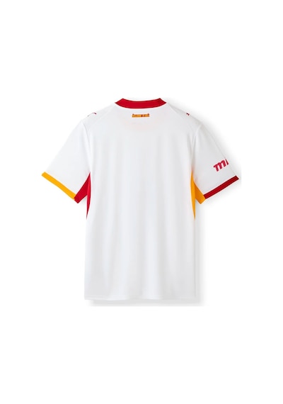 Galatasaray S.k. Beyaz Forma 26/27 Alternatif Forma 5 Yıldızlı Erkek Forma