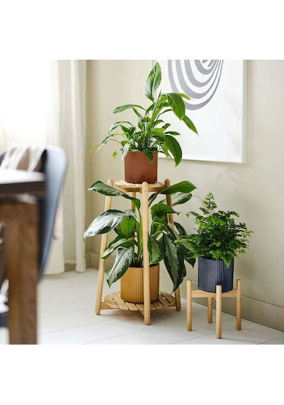 Daksjus Çiçeklik, Bambu, 60 Cm Saksılık-bitki Standı