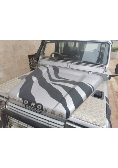 Land Rover Defender 2001 Çamurluk Izgarası
