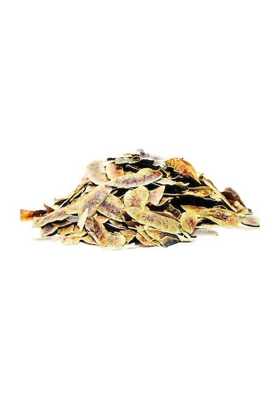 Lokman Açlık Otu Erkek Sinameki 100 G