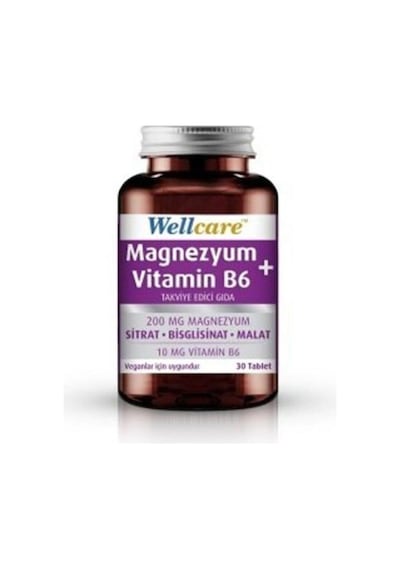 Wellcare Magnezyum Vitamin B6 30 Tablet