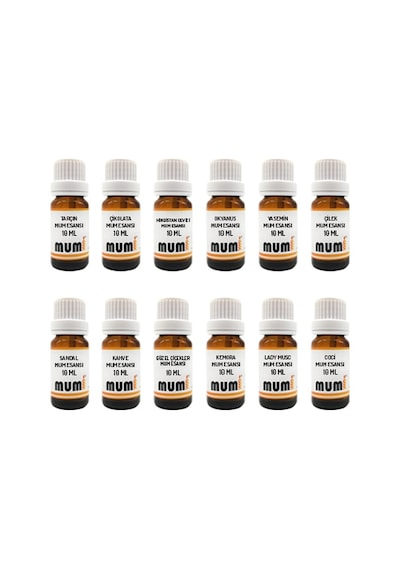 Mum Esansı Seti 10 Ml 12 Adet Şeffaf