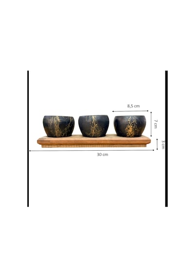 Bitki Tasarımı Black Marble Premium 3'lü Sukulent Kaktüs Saksı Seti Ahşap Standlı Dekoratif Saksılık 0.9 L