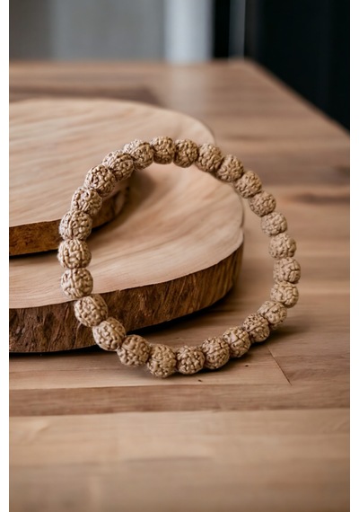 Rudraksha Tohumu Bileklik 8mm Orijinal Doğal Hafif Bileklik Rudraksha Tohumu Asetat Kutu Asetat Kutu