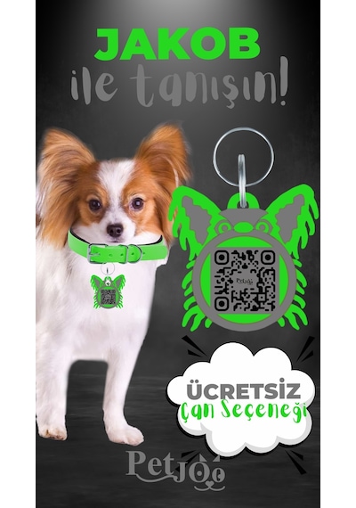 Petjoo 8.Jakob Gri-Yeşil Qr'lı Köpek Künyesi