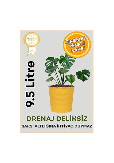Hüskon Ticaret Sarı Deranjli 9.5 Litre Dekoratif Bitki Saksısı- Iç-dış Mekan Bitkileri Için Uygun Saksı
