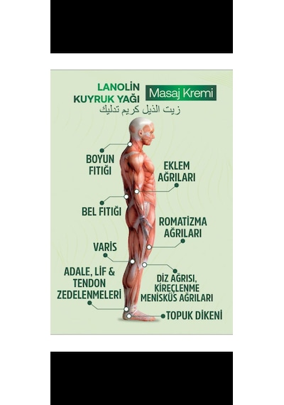 Kuyruk Yağlı Lanolin Masaj Kremi 70 Gr 4 Adet