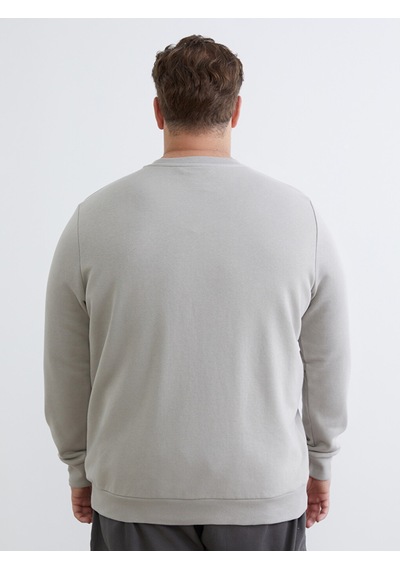 Lcwaıkıkı Classic Gri Bisiklet Yaka Baskılı Erkek Sweatshirt