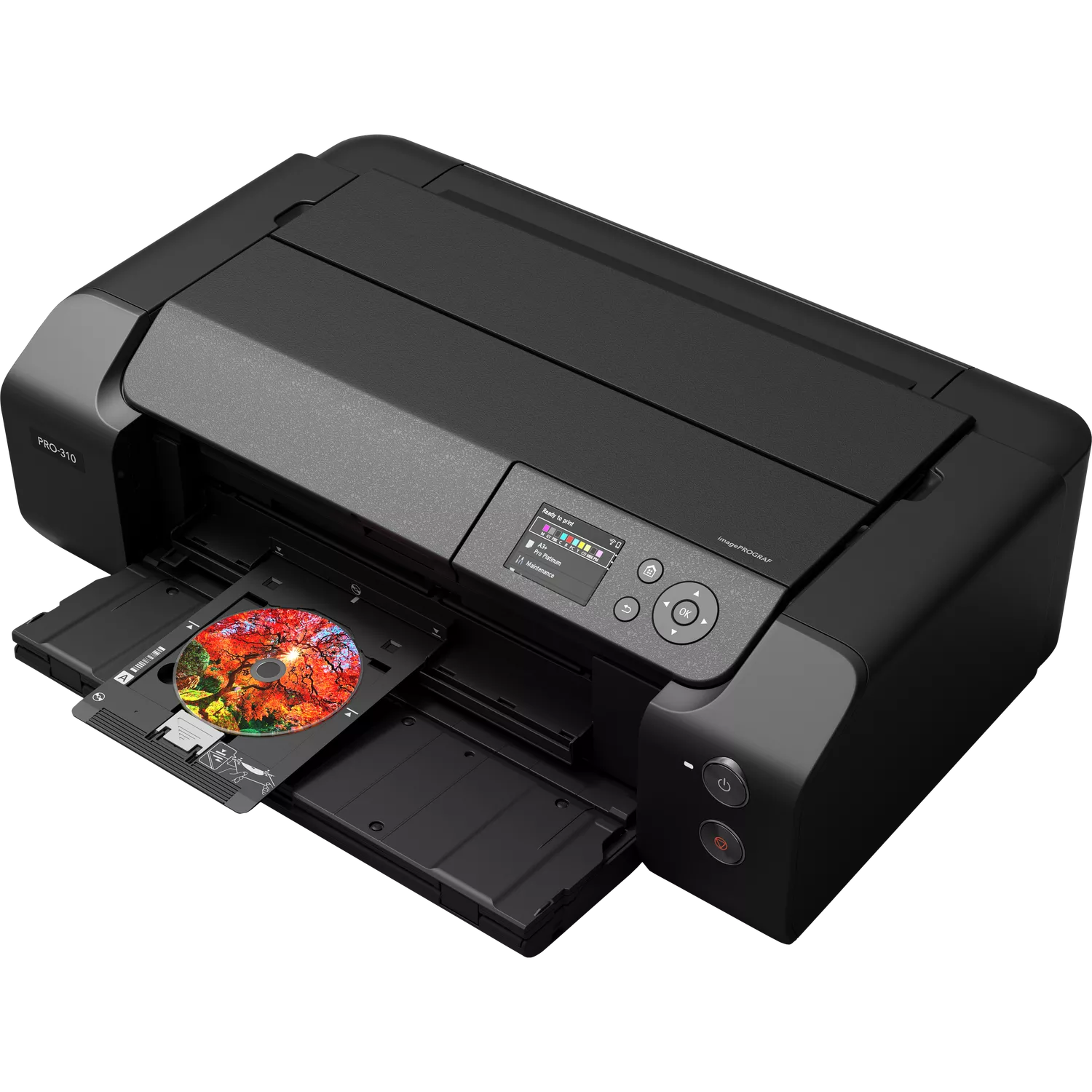 Canon İmageprograf Pro-310 A3+ Fotoğraf Yazıcısı Siyah