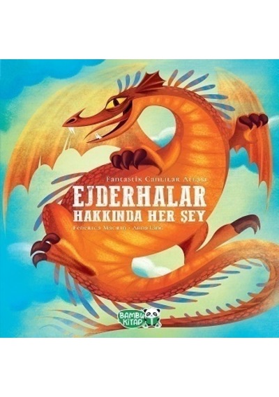 Ejderhalar Hakkında Her Şey - Federica Magrin - Bambu Kitap