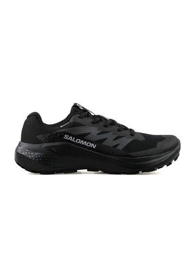 Salomon Alphaglıde Gore-tex Kahverengi