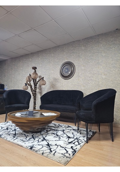 Zafir Teddy Takım Siyah Boyalı Telli Ayak Çay Seti Koltuk - Berjer , Balkon, Salon, Ofis Siyah Zafir Teddy Takım Siyah Boyalı Telli Ayak Çay Seti Koltuk - Berjer , Balkon, Salon, Ofis Siyah