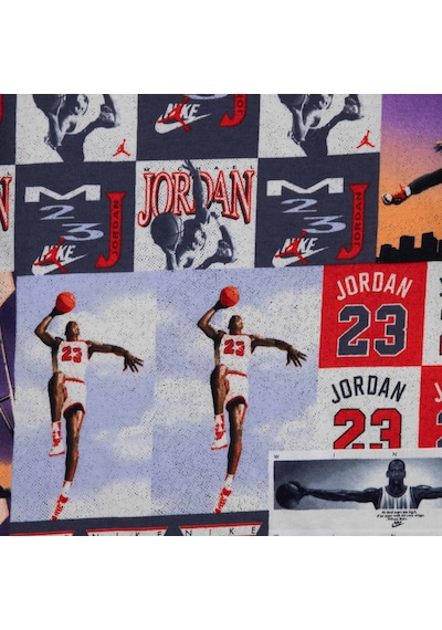 Nike Jordan Posterized Air Çocuk Tişört 95f612-782 Çok Renkli