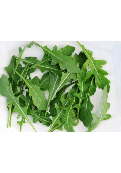 Yerli Roka Tohumu 10 GR Ort 3000 Ad Tohum N114514