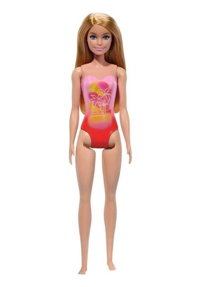 Barbie Tatilde Bebekleri Hpv19