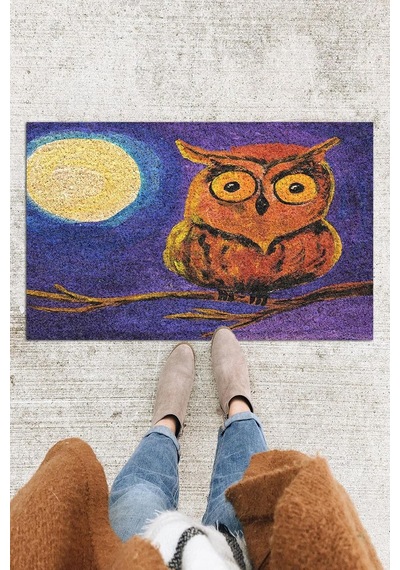 Tr Baykuş Kapı Önü Paspası Dekoratif Kapı Paspası Dış Mekân Paspas Ev İçi Paspası 45x70cm Diğer