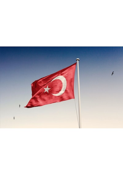 1000x1500cm ALPAKA BÜYÜK TÜRK BAYRAĞI