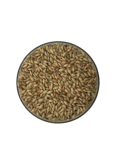 Hitit Malt Münih Arpa Maltı 1 KG