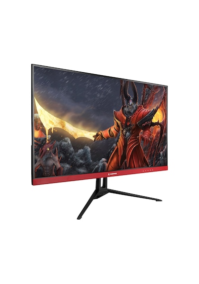 Rampage RM-421S Flower 24" 165 Hz 1MS BOE IPS FHD Freesync Flat PC Oyuncu Monitörü