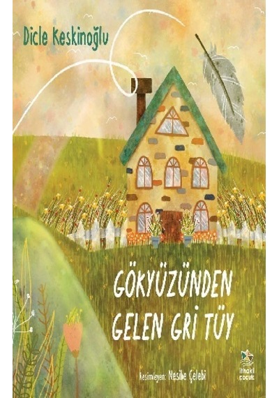 Gökyüzünden Gelen Gri   Tüy