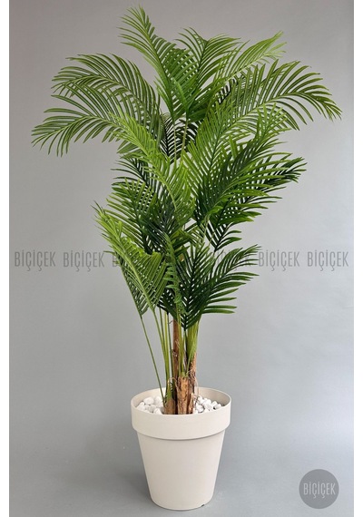 Biçiçek Yapay Areka Ağaci 220 Cm 4 Gövdeli̇ Krem Yali Saksıda