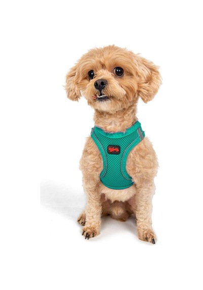 Tailpetz Air-mesh Küçük Ve Orta Irk Kedi Köpek Göğüs Tasması - Yumuşak, Nefes Alabilir, Dayanıklı Emerald, 3xs Sku: Zeusb08vwz7jrp Açık Bej - Bej